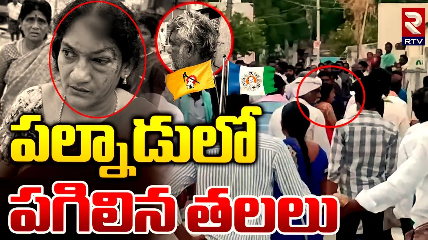 Andhra Pradesh: కేంద్ర బలగాలను రప్పించండి.. పల్నాడులో ఈసీ ఆదేశాలు
