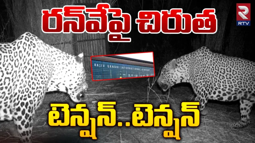 Hyderabad : మళ్లీ శంషాబాద్‌ ఎయిర్‌పోర్టులో చిరుత కలకలం