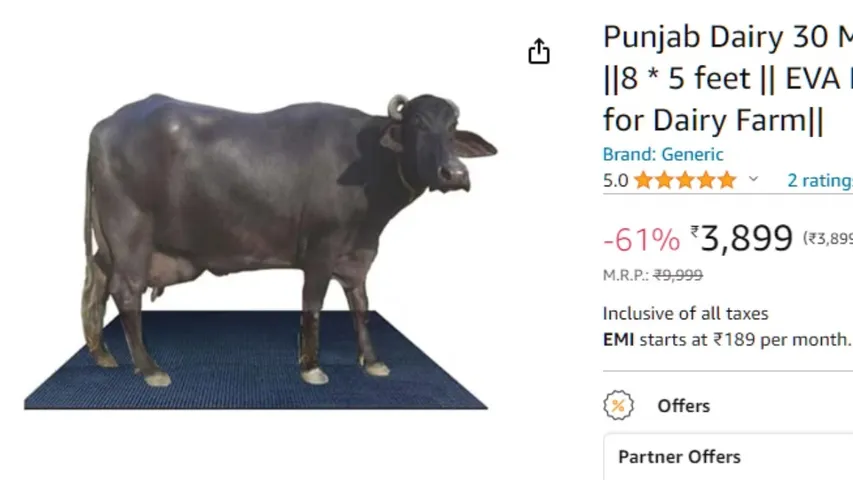 Amazon Selling Buffalo: రూ.4,000కి గేదె ని అమ్ముతున్న అమెజాన్.. కథ తెలిస్తే దిమ్మతిరిగిపోద్ది.