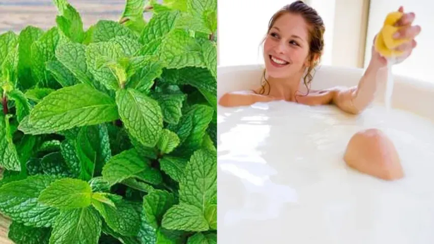 Bath Tips: రోజూ స్నానం చేసేటప్పుడు ఈ పదార్థాలను నీటిలో కలపండి.. పెర్ఫ్యూమ్ అవసరమే ఉండదు!