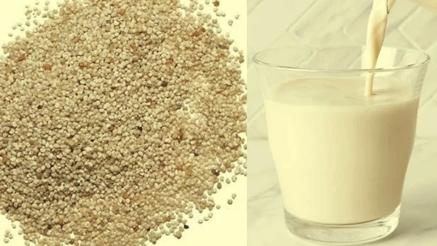 Poppy Milk: గసగసాల పాలతో ఎంతో మేలు.. ప్రయోజనాలు తెలుసుకోవాల్సిందే!