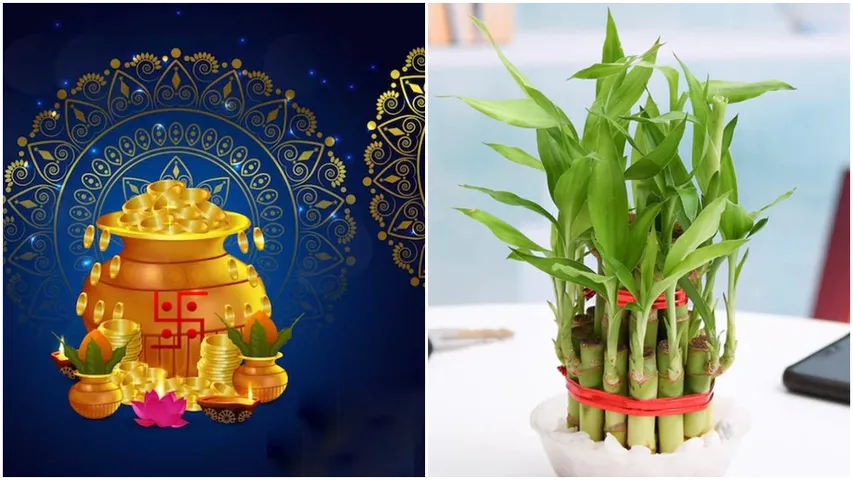 Akshay Tritiya : అక్షయ తృతీయ రోజు ఈ మొక్కలను ఇంటికి తెచ్చుకోండి.. శుభప్రదం..!