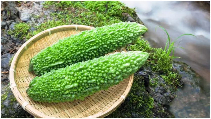 Bitter gourd: ఇలా చేస్తే కాకరకాయలోని చేదు ఒక్క క్షణంలో పోతుంది..!