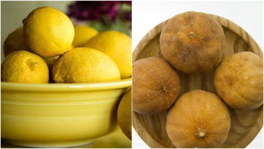 Lemon : నిమ్మకాయలు త్వరగా ఎండిపోతున్నాయా..? ఈ ట్రిక్స్ ఫాలో అవ్వండి