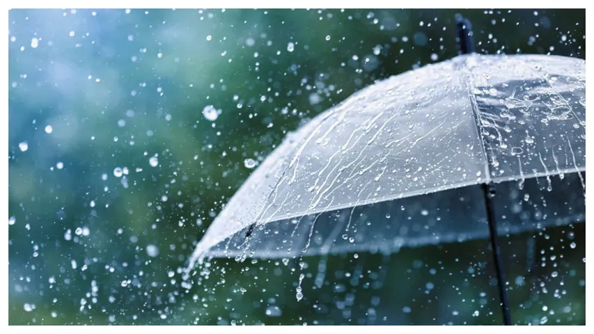 Weather Alert: హైదరాబాద్‌లో కూల్ కూల్‌.. పలు ప్రాంతాల్లో భారీ వర్షం