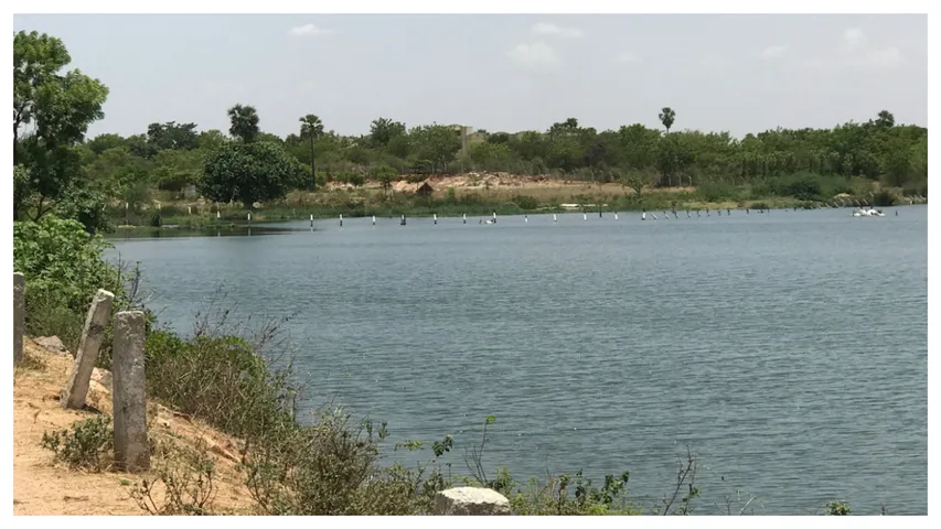 Andhra Pradesh: ఏపీలో దారుణం.. చెరువుగట్టుపై మూత్ర విసర్జన చేశాడని..