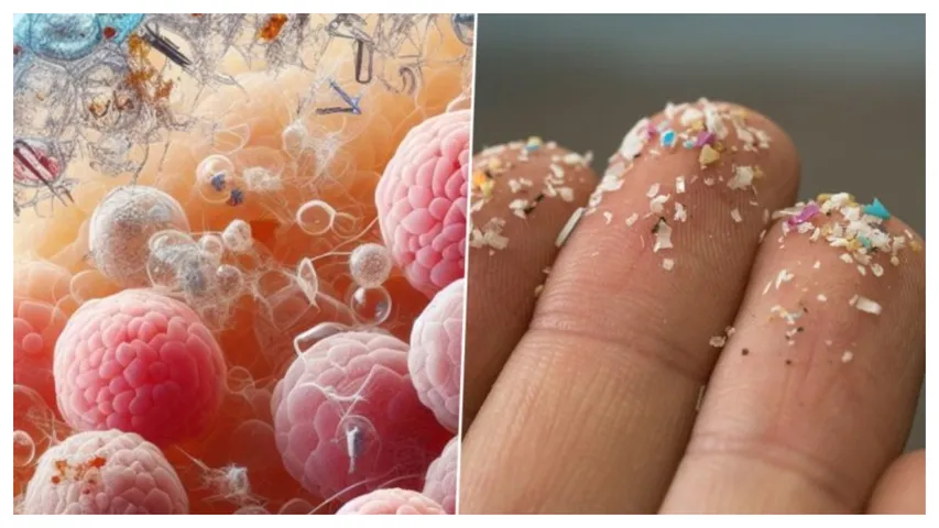 Microplastics : పురుషుల వృషణాల్లో మైక్రోప్లాస్టిక్స్.. సంతానోత్పత్తిపై ప్రభావం