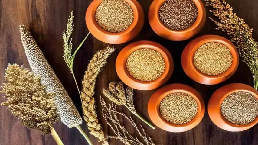 Millets: వేసవిలోఈ మిల్లెట్స్ తింటున్నారా అయితే జాగ్రత్త..!
