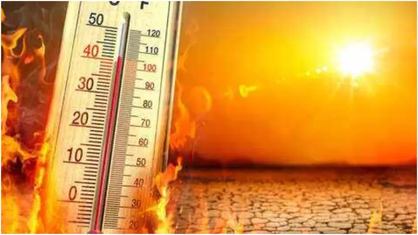 Heat Wave: వడదెబ్బకు పిట్టల్లా రాలిపోతున్న జనం.. అక్కడ ఒక్కరోజే 19మంది.. 