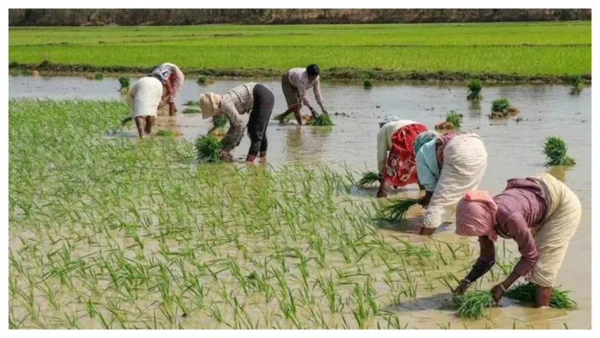 Rythu Bharosa : రైతులకు గుడ్‌న్యూస్‌.. రైతుభరోసా నిధులు విడుదల