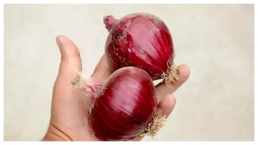 పచ్చి ఉల్లిపాయ తినటం వల్ల కలిగే ప్రయోజనాలు..