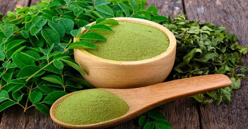 Drumstick Leaf: మునగాకు తో ఎన్ని ప్రయోజనాలో తెలుసా?