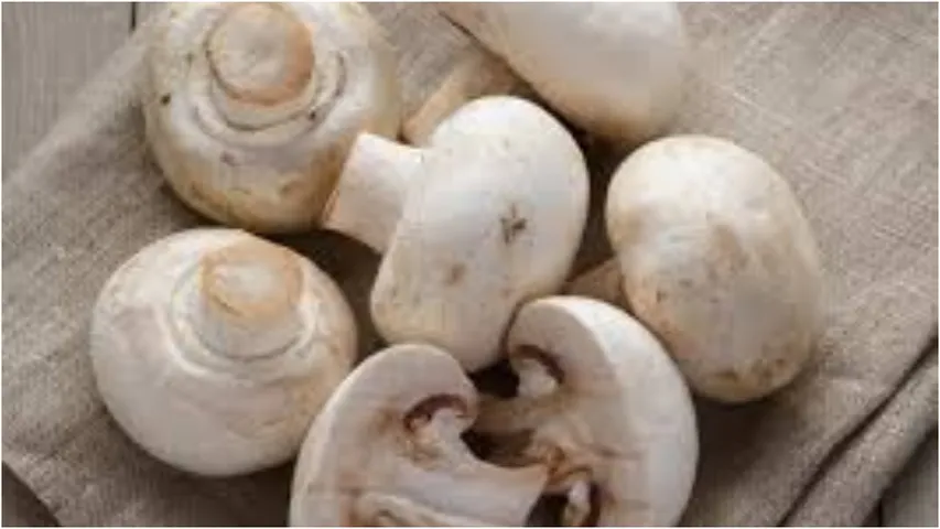 Mushrooms: శరీరంలో విటమిన్ డి లోపం ఉంటే ఇలా చేయండి.. అద్భుతమైన ప్రయోజనాలు పొందుతారు!