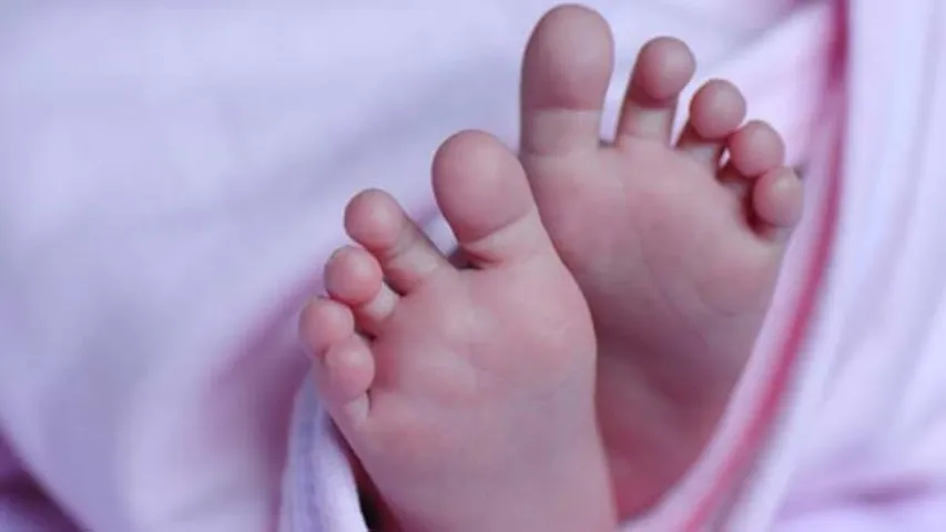 Telangana : పెంపుడు కుక్క దాడిలో ఐదు నెలల చిన్నారి మృతి