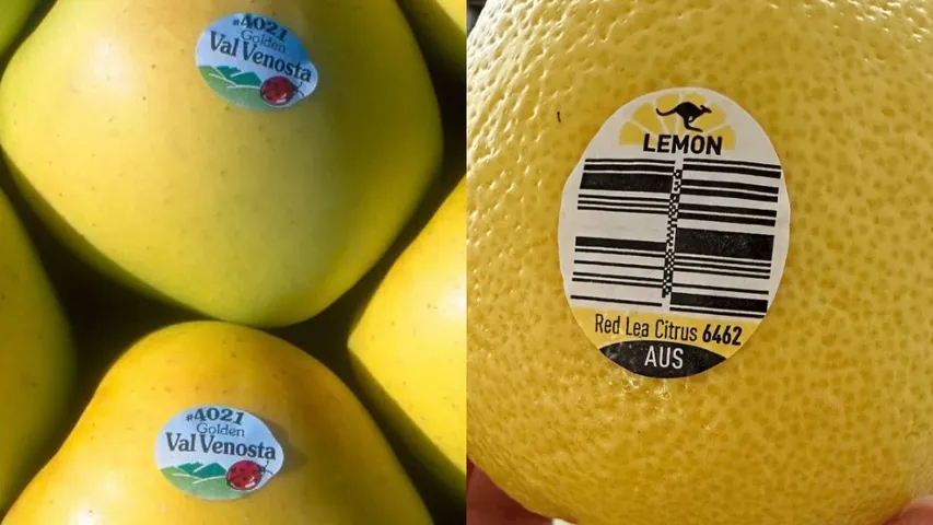 Fruit Tips: పండ్లపై స్టిక్కర్లు ఎందుకు వేస్తారు? అసలు మేటర్ ఇదే!