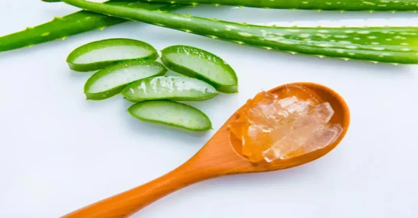 Aloe Vera Gel | మెరిసే చర్మం కోసం 'అలోవెరా జెల్'...