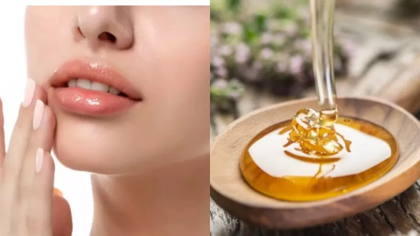 Lip care: లిప్స్‌పై తేనెను పూయడం వల్ల కలిగే ప్రయోజనాలు ఇవే.. ఇలా అప్లై చేయండి!
