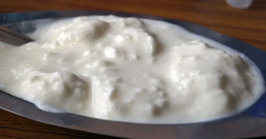 Curd In Summer | వేసవిలో పెరుగు తింటున్నారా..? బెనిఫిట్స్ ఇవే