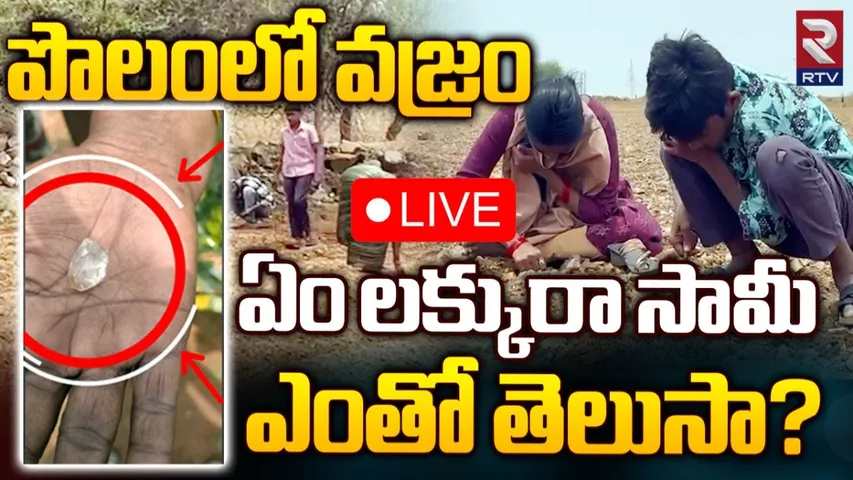 Diamond: పంట పొలాల్లో వజ్రాల వేట.. రైతుకు దొరికిన వజ్రం.. ఖరీదు తెలిస్తే అవాక్కవుతారు..!