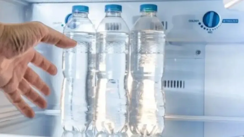 Summer Health Tips : వేసవిలో ఫ్రిడ్జ్‌లో నీరు తాగుతున్నారా..? ఇది ఆరోగ్యానికి మేలా.. కీడా తెలుసుకోండి!