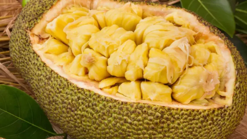Health Tips : షుగర్‌ పేషంట్లుకు చాలా మేలు చేసే పచ్చి పనస!