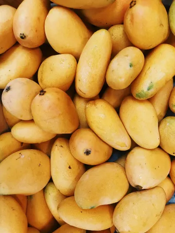Health Tips : డయాబెటిక్‌ పేషెంట్లు రోజులో ఎంత మోతాదులో మామిడిపళ్లను తినాలంటే!