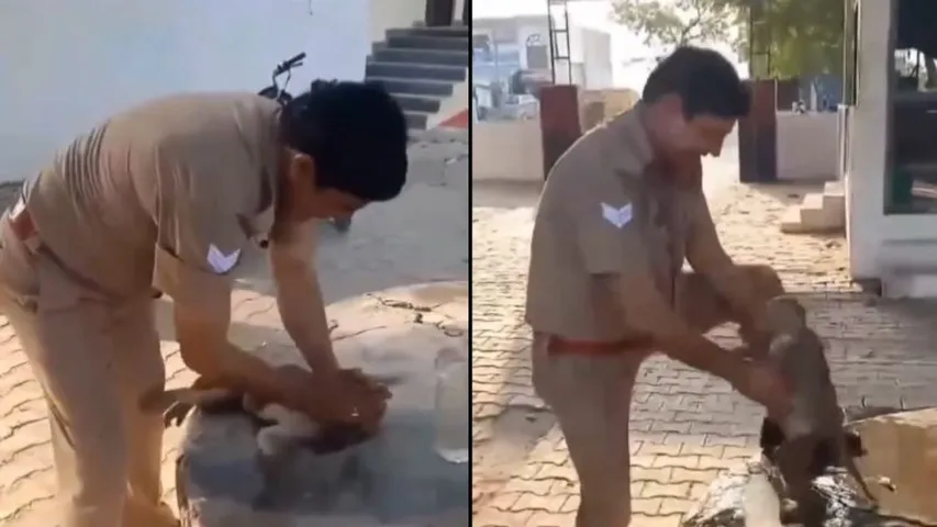 Police: నువ్వు గ్రేట్ బాసూ.. సొమ్మసిల్లిపడిపోయిన కోతి ప్రాణాలు కాపాడావు..!
