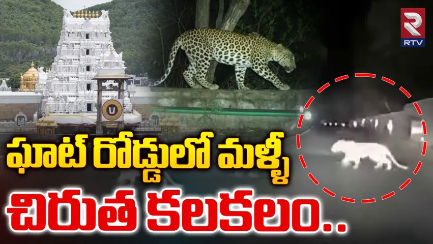 Tirumala : తిరుమలలో మరోసారి చిరుత కలకలం