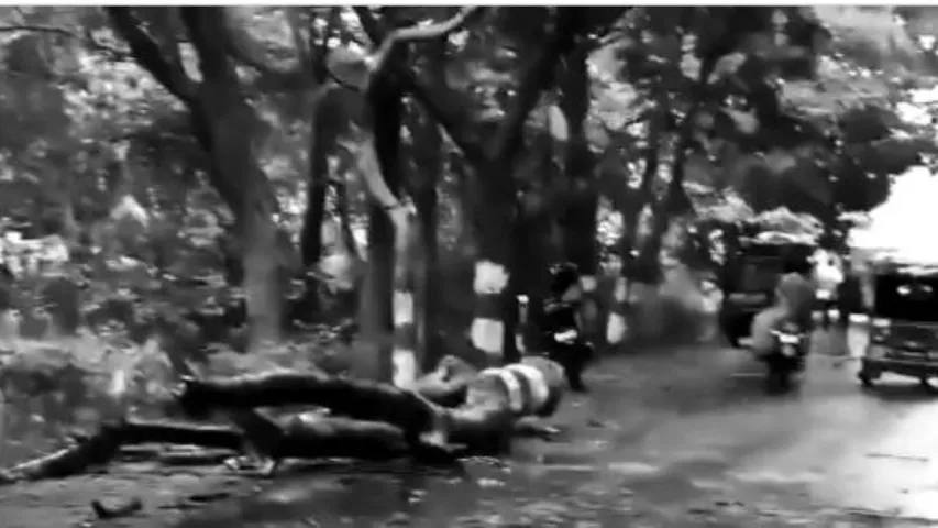 Crime News: గాలివానకు విరిగిపడ్డ చెట్టు.. బైకర్ మృతి.!