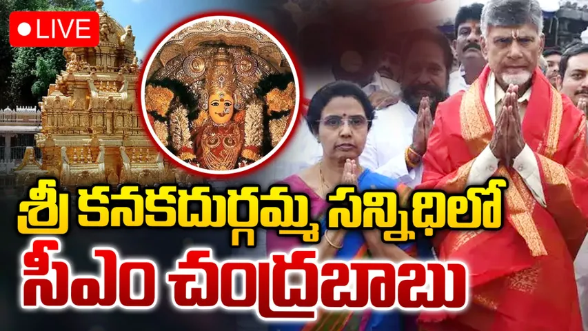 కనకదుర్గమ్మకు చంద్రబాబు పూజలు