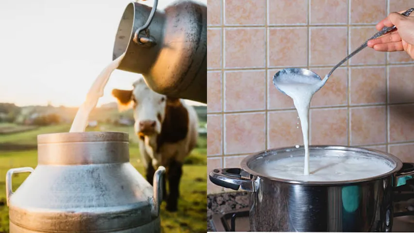 Milk: పచ్చి పాలు తాగుతున్నారా? అయితే మీ ఆరోగ్యం ప్రమాదంలో పడినట్టే!