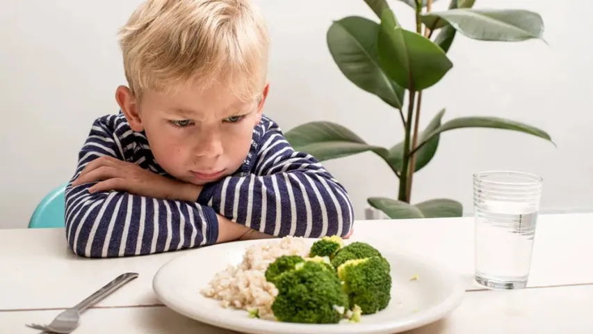 Children Appetite: పిల్లలకు ఆకలి తక్కువగా ఉండటం సాధారణ విషయమా? లేదా ఏదైనా సమస్యా?