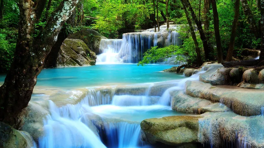 Waterfalls: అంతర్జాతీయ జలపాత దినోత్సవం.. భారతదేశంలో 5  అత్యంత అందమైన జలపాతాలు..!