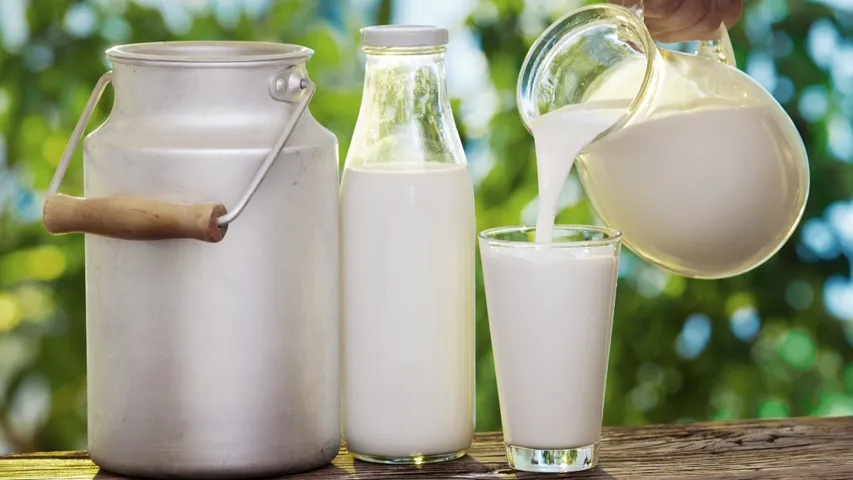 Milk Adulteration: కల్తీ పాలను గుర్తించడం ఎలా..?  తాగారో ఆరోగ్యానికి ముప్పే..!