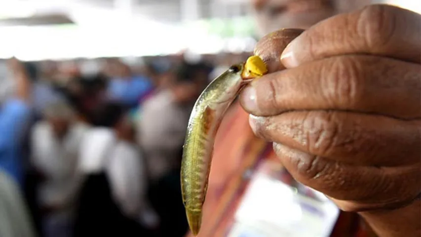 Hyderabad: ముగిసిన చేప ప్రసాదం పంపిణీ.. ఎంతమంది వచ్చారంటే
