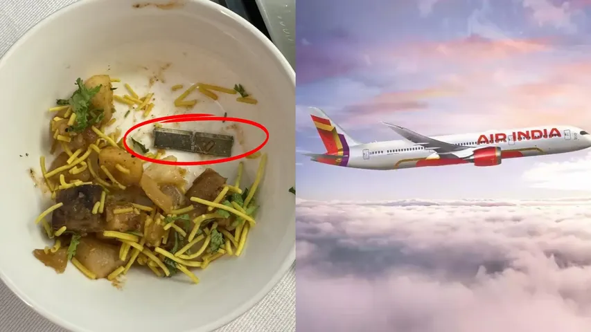 Airindia: విమాన భోజనంలో ఇనుపముక్క.. కంగుతిన్న ప్రయాణికుడు