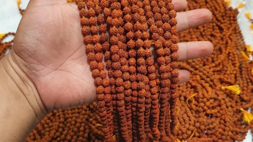 Rudraksha: రుద్రాక్షలో ఇన్ని ఔషధ గుణాలు ఉన్నాయా..?