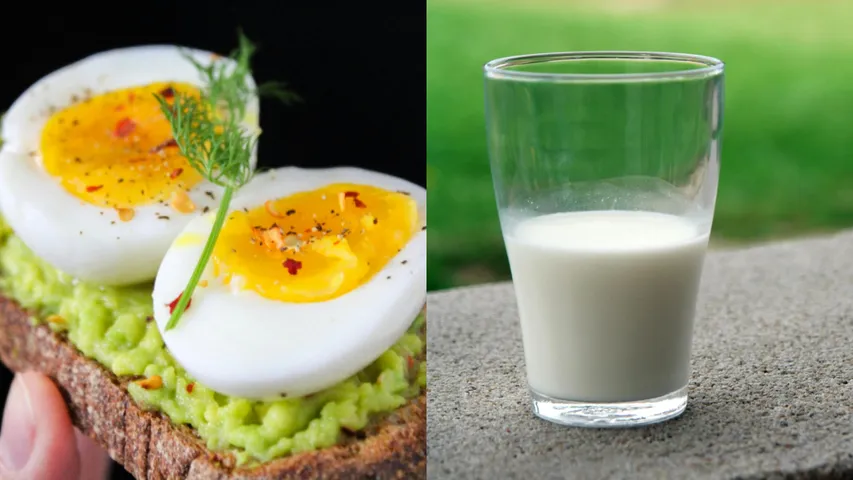 Egg vs Milk: పాలు లేదా గుడ్డు... ఫిట్‌గా ఉండటానికి రహస్యం ఏది? ఏది ఎక్కువ మంచిదో తెలుసా?