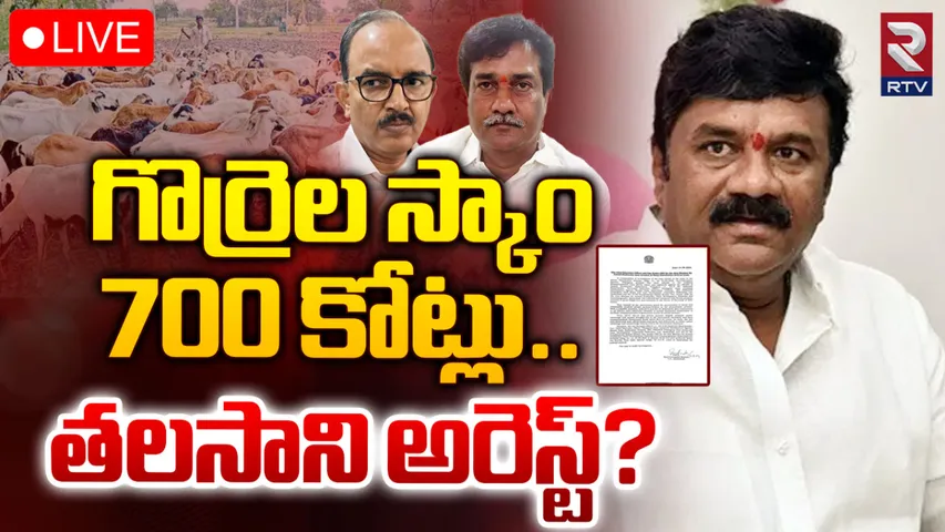 Sheep Distribution scheme: గొర్రెల పంపిణీ స్కాం  @700 కోట్లు