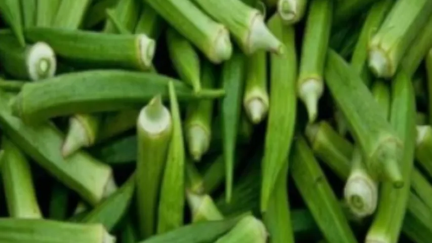 Health Tips : బెండకాయతో ఇట్టే బరువు తగ్గొచ్చు తెలుసా!