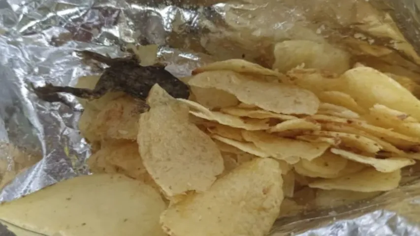 Frog In Chips Packet : చిప్స్ ప్యాకెట్ లో చచ్చిన కప్ప..ఖంగుతిన్న కస్టమర్లు!