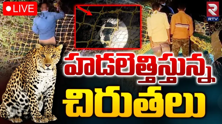 AP: ఏపీలో హడలెత్తిస్తున్న చిరుతలు.. భయాందోళనలో బ్రతుకుతున్న ప్రజలు.!
