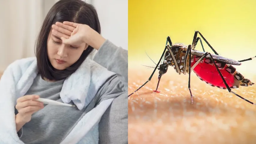 Dengue: డెంగీ రాకుండా ఉండాలంటే పొరపాటున కూడా ఈ బట్టలు వేసుకోకండి.. ఎందుకో తెలుసుకోండి!