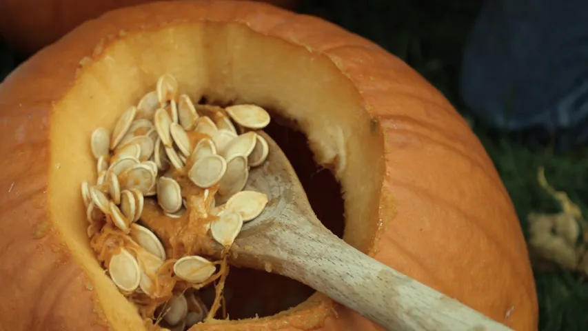 Pumpkin Seeds: గుమ్మడి గింజలను ఇలా వాడండి.. మీ ముఖం తలతలా మెరిసిపోతుంది!