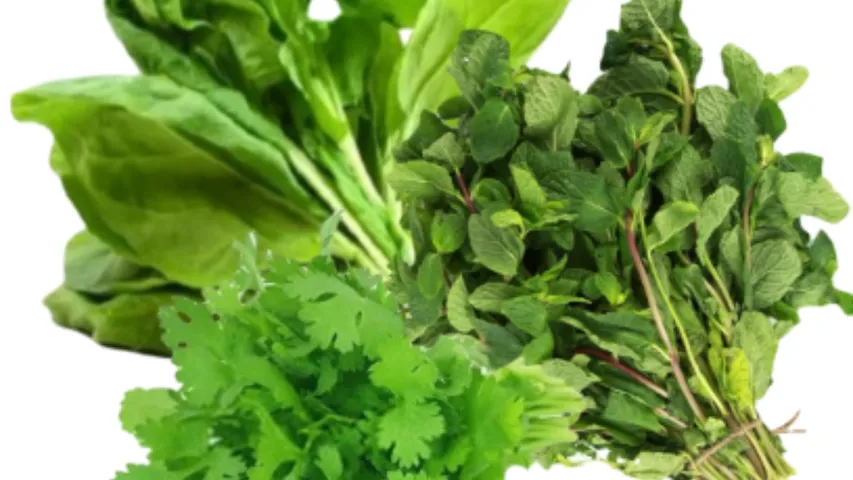 Vegetable Rates :  కొత్తిమీర రూ.260.. పాలకూర రూ.120... ఇక తిన్నట్లే!