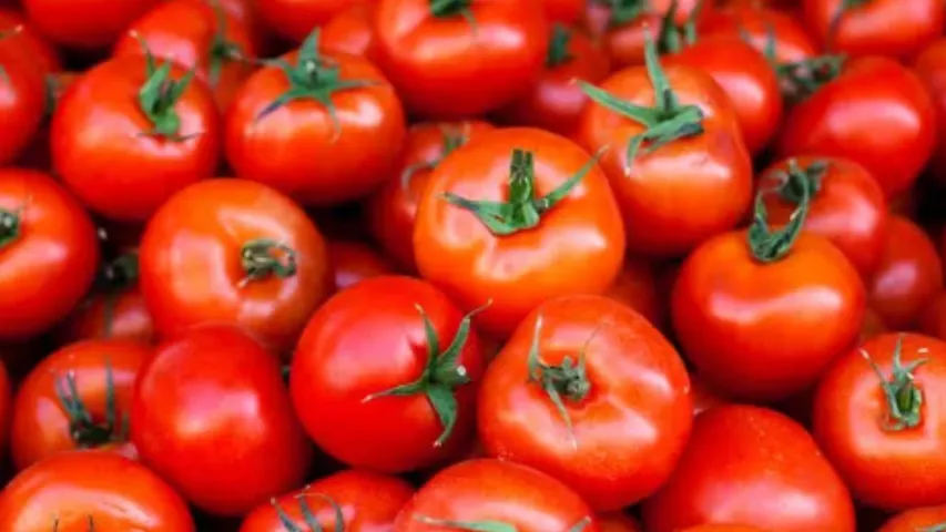 Vegetables :  కూరగాయల ధరలకు రెక్కలు..కిలో టమాటా ఎంతో తెలుసా?