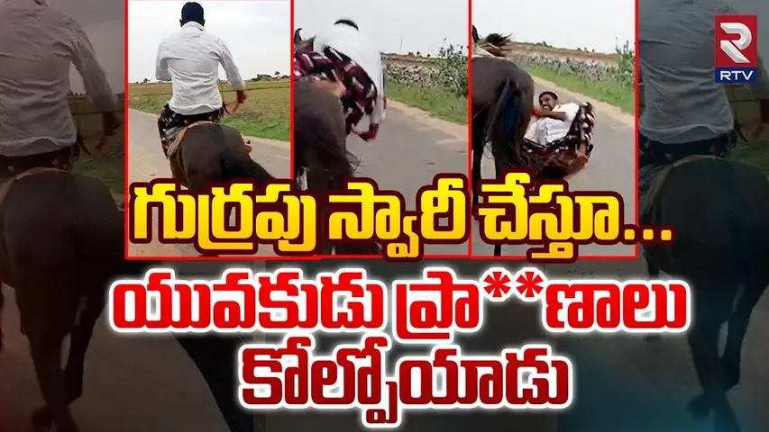 Kurnool: గుర్రపు స్వారీ చేస్తూ కిందపడి...యువకుడి మృతి!.