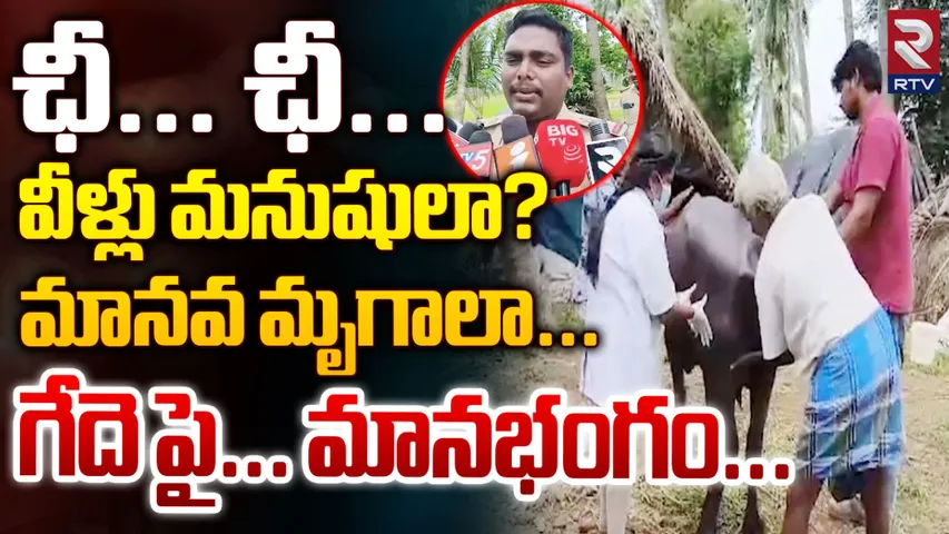 Buffalo Incident: నా గేదెను రేప్ చేశారు.. రైతు ఆవేదన