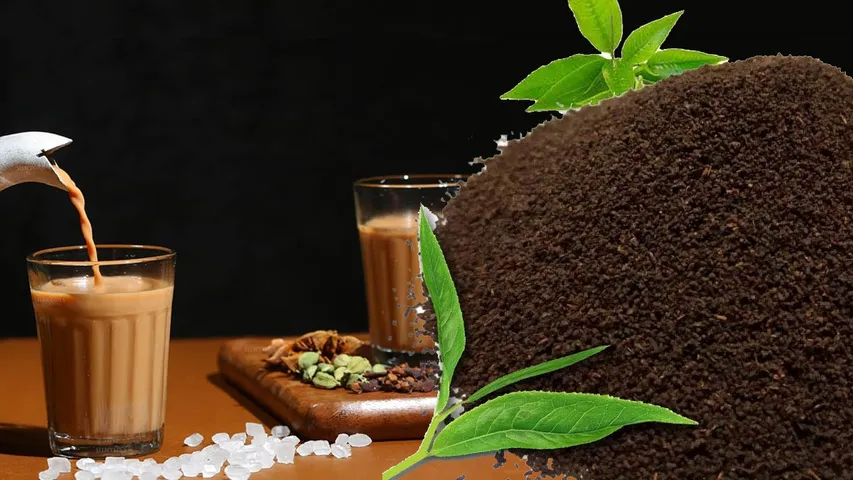 Ban on Tea: ఇష్టంగా టీ తాగుతున్నారా? అది కష్టాన్ని తేవచ్చు.. క్యాన్సర్ కారణం కావచ్చు!!
