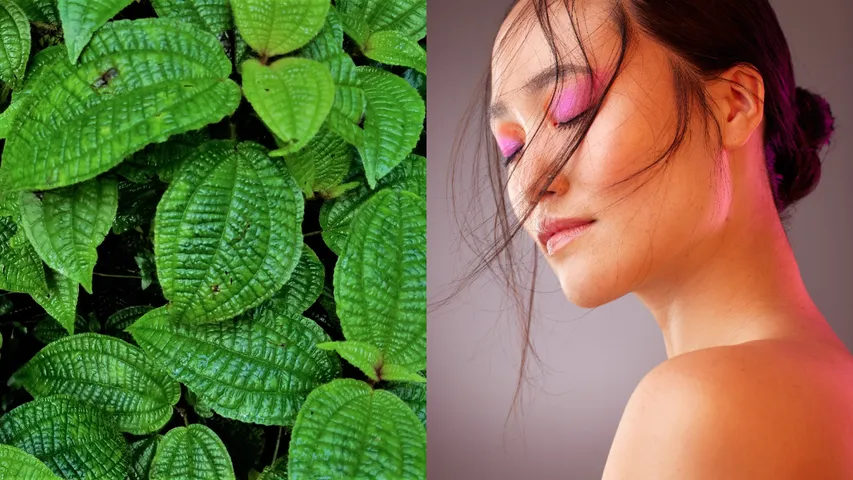 Skin Care Tips: తమలపాకులను చర్మానికి వాడితే ఏం జరుగుతుంది?